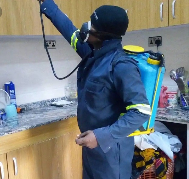 Pool Cleaning